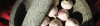 Knoflook